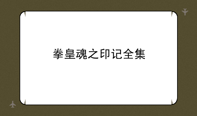 拳皇魂之印记全集