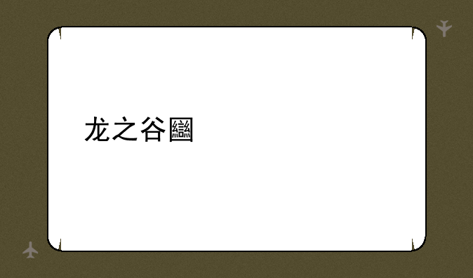 龙之谷土豪装备