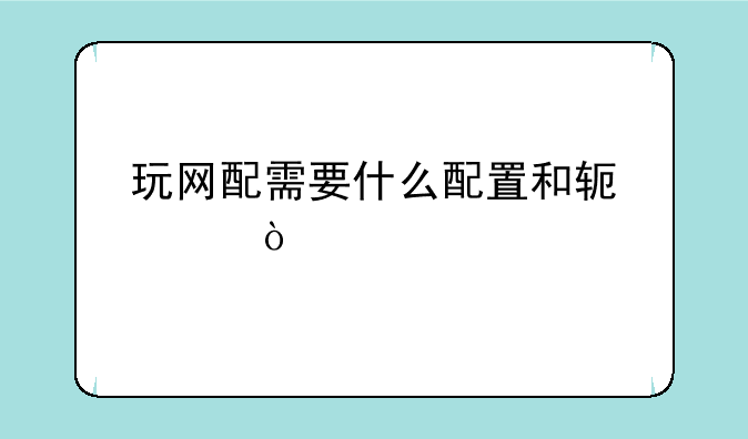 玩网配需要什么配置和软件？