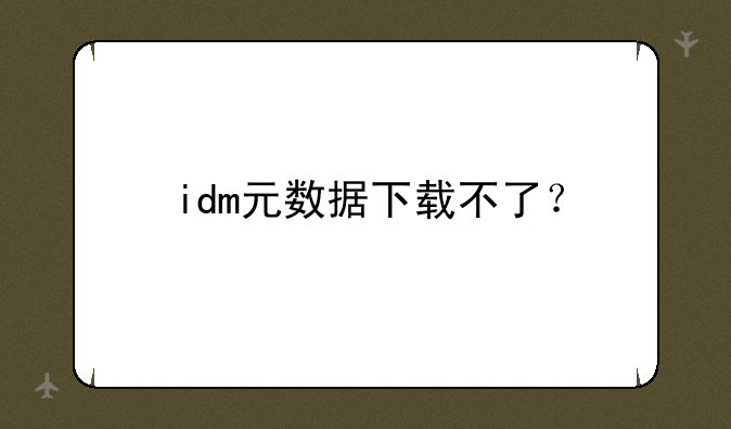 idm元数据下载不了？
