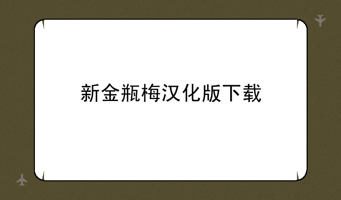 新金瓶梅汉化版下载