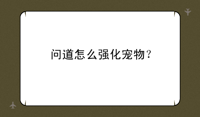 问道怎么强化宠物？