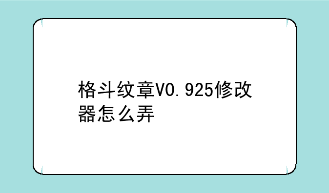 格斗纹章V0.925修改器怎么弄