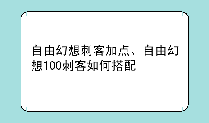 自由幻想刺客加点、自由幻想100刺客如何搭配